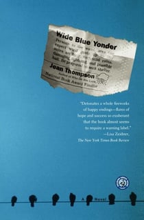 Wide Blue Yonder - A Novel