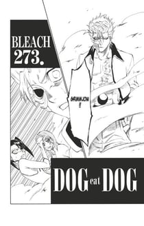 Bleach - T31 - Chapitre 273 - DOG eat DOG
