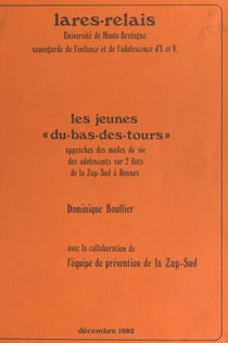 Les jeunes « du-bas-des-tours » - Approches des modes de vie des adolescents sur 2 îlots de la ZUP-Sud à Rennes