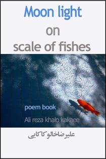 Moon Light on Scale of Fishes
