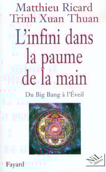 L'Infini dans la paume de la main - du Big Bang à l'Eveil