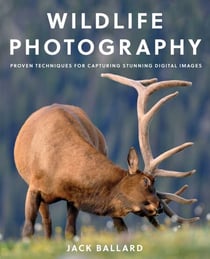 Wildlife Photography - Proven Techniques for Capturing Stunning Digital Images