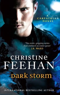 Dark Storm - Number 23 in series