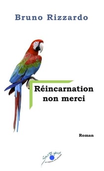 RÉINCARNATION NON MERCI