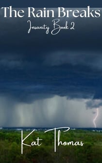 The Rain Breaks - Insanity Novella(Max POV), #2