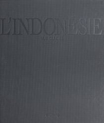 L'Indonésie vue du ciel