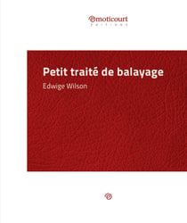 Petit traité de balayage - Essai littéraire