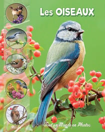 Tout un monde en photos : les oiseaux des parcs et jardins