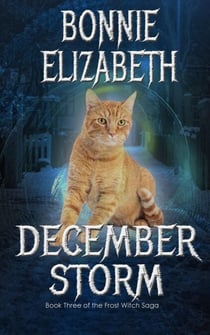December Storm - The Frost Witch Saga, #3