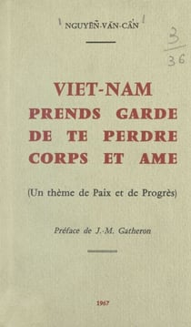 Viêt-Nam, prends garde de te perdre corps et âme - Un thème de paix et de progrès