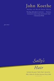 Sally's Hair - Poems