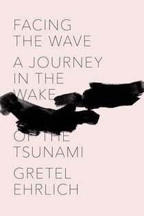 Facing the Wave - A Journey in the Wake of the Tsunami