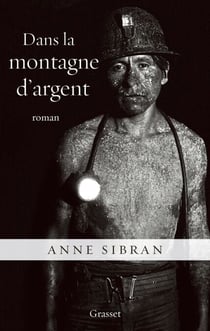 Dans la montagne d'argent - roman