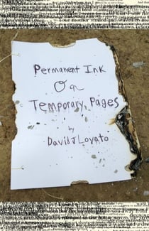 Permanent Ink on Temporary Pages - Pen and Paper, Wood and Nails, #1