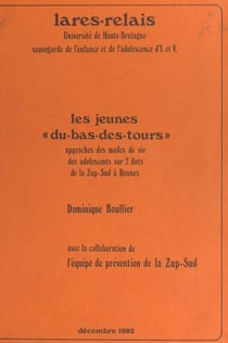 Les jeunes « du-bas-des-tours » - Approches des modes de vie des adolescents sur 2 îlots de la ZUP-Sud à Rennes