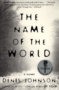 The Name of the World - A Novel