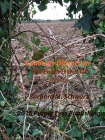 A Subtlety Distraction - The Earth Is Out Of Action