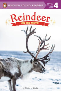 Reindeer - On the Move!