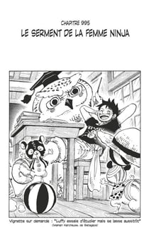 One Piece édition originale - Chapitre 995 - Le serment de la femme ninja