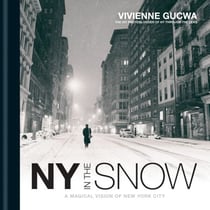 New York In The Snow - A photographic vision of the iconic city in winter