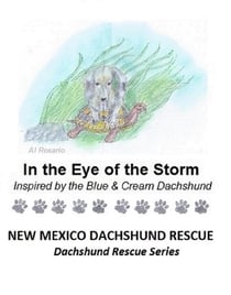 In the Eye of the Storm