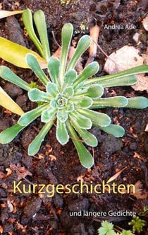 Kurzgeschichten - und längere Gedichte
