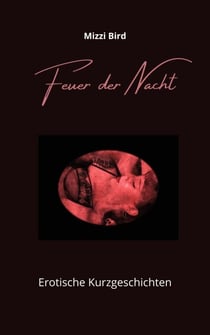 Feuer der Nacht - Erotische Kurzgeschichten