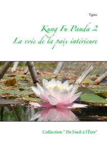 Kung Fu Panda 2 - La voie de la paix intérieure