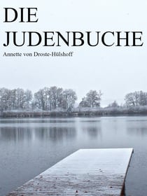Die Judenbuche - Ein Sittengemälde aus dem gebirgichten Westfalen