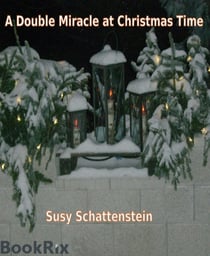 A Double Miracle at Christmas Time