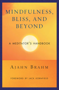 Mindfulness, Bliss, and Beyond - A Meditator's Handbook