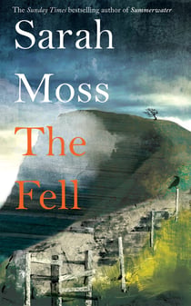 The Fell - from the bestselling author of Summerwater