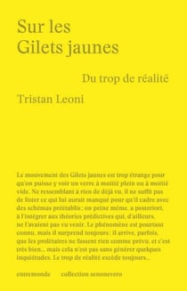 Sur les Gilets Jaunes : du trop de réalité