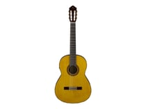 Yamaha - CG-TA Transacoustic natural