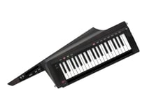 Korg RK-100S 2 - keytar