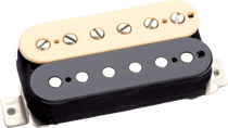 CC HS - ALNICO II PRO HB, MANCHE, ZEBR