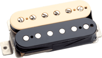 CC HS - 59 MODEL, MANCHE, ZEBRA