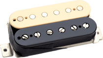 CC HS - DUNCAN DISTORTION, CHEVALET