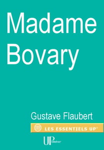Madame Bovary - Roman de moeurs