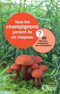 Tous les champignons portent-ils un chapeau ? - 90 clés pour comprendre les champignons