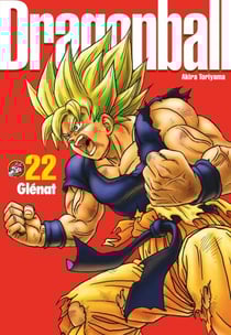 Dragon Ball perfect edition - Tome 22 - Perfect Edition