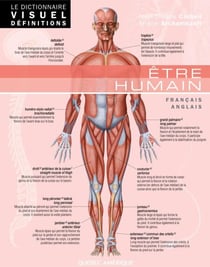 Le Dictionnaire Visuel Définitions - Être humain - Être humain