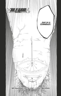 Bleach - T17 - Chapitre 149 - Countdown to The End: 1 (Only Mercifully)