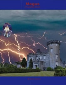 Magus: a Travailing Wizard - Magus, #2