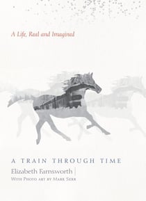 A Train through Time - A Life, Real and Imagined
