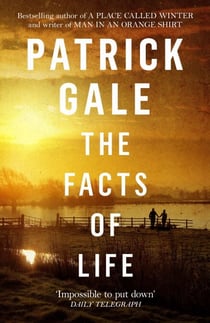 The Facts of Life - An epic, intimate novel of love, music and the life events that stay with us forever