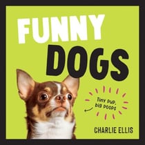 Funny Dogs - A Hilarious Collection of the World’s Silliest Dogs and Most Relatable Memes