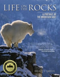 Life on the Rocks - A Portrait of the Mountain Goat