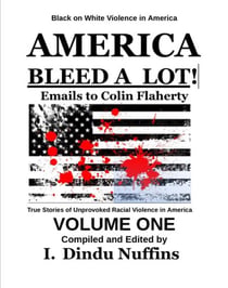 America Bleed A Lot: True Stories of Black on White Violence in America
