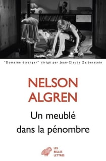 Un meublé dans la pénombre